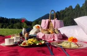 Picknick-Fruehstueck